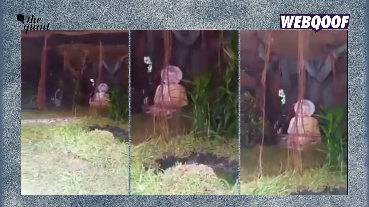 <div class="paragraphs"><p>The video shows a depiction of a story from Buddhism, which involves Gautam Buddha and a snake.</p></div>