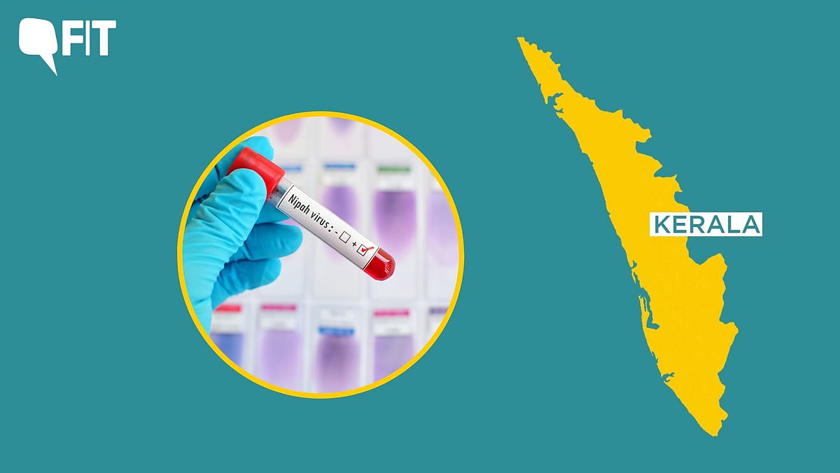 <div class="paragraphs"><p>Nipah Virus in Kerala: Positive Nipah virus test, map of Kerala state.</p></div>