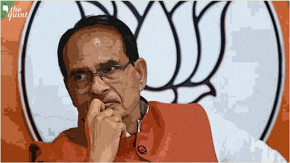 <div class="paragraphs"><p>MP CM Shivraj Singh Chouhan.</p></div>