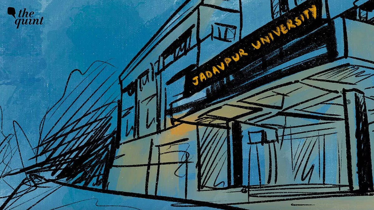 <div class="paragraphs"><p>The fresher was not only ragged by his seniors but also sexually abused, with him being forced to 'run naked in front of 20 seniors', before his eventual fall, according to the probe panel.</p></div>