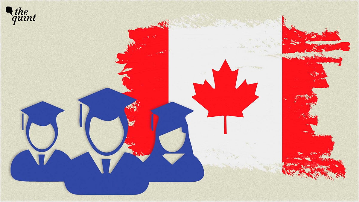 <div class="paragraphs"><p>Indian students' main worry is – what if Canada takes an adverse step in response to India suspending visas to Canadians?</p></div>