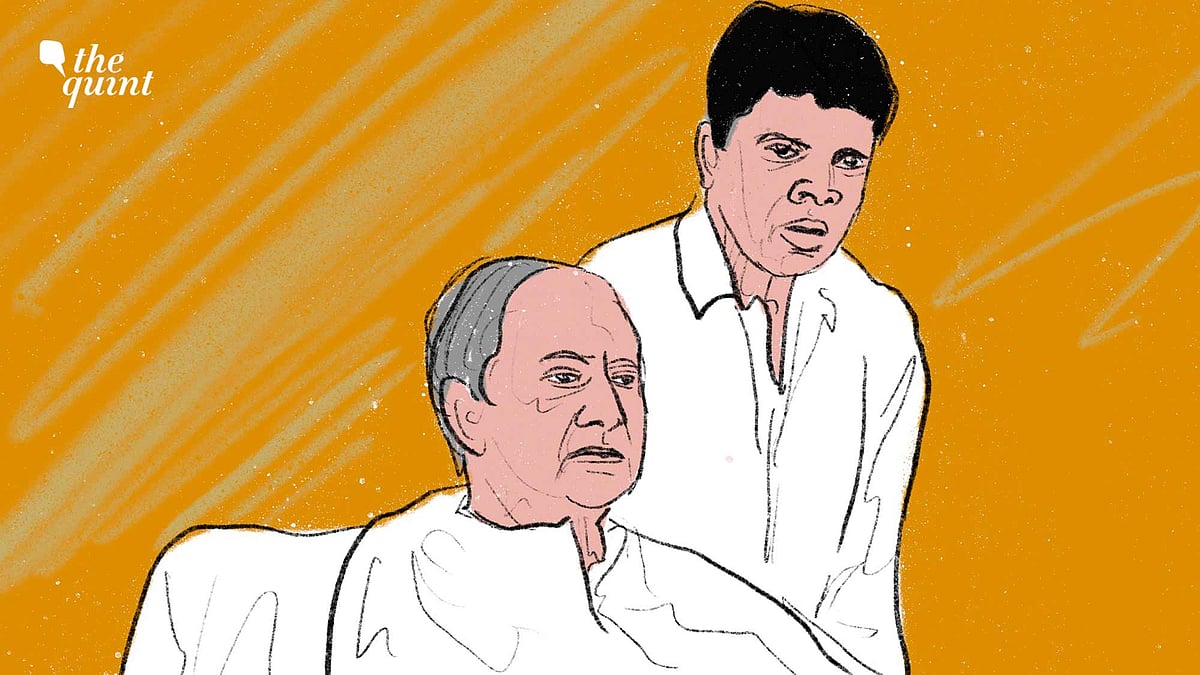 <div class="paragraphs"><p>Naveen Patnaik, a Western-educated loner and son of Biju Patnaik, whose figure towers over the modern history of the coastal state, has had V K Pandian as his go-to lieutenant for quite a while now.</p></div>