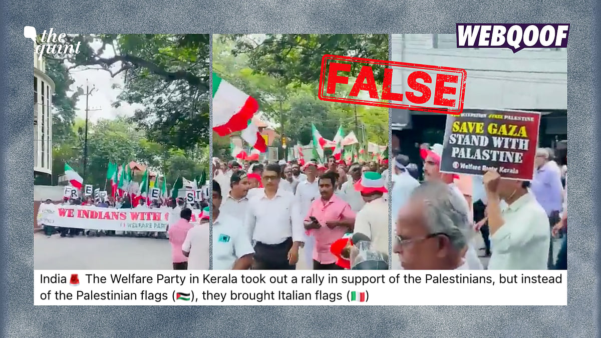 <div class="paragraphs"><p>The video shows the Welfare Party Kerala's rally in support of Palestine, where they carried party flags.</p></div>