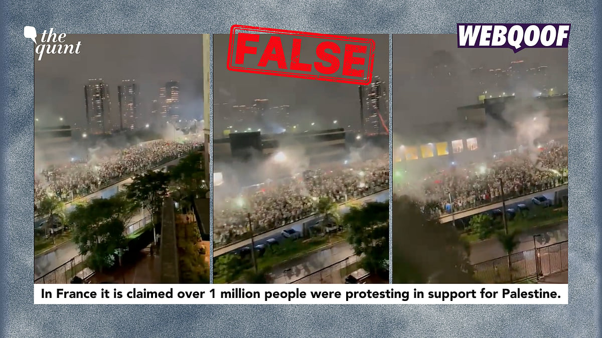 <div class="paragraphs"><p>The video is being falsely shared as one of a pro-Palestinian demonstration in France.</p></div>