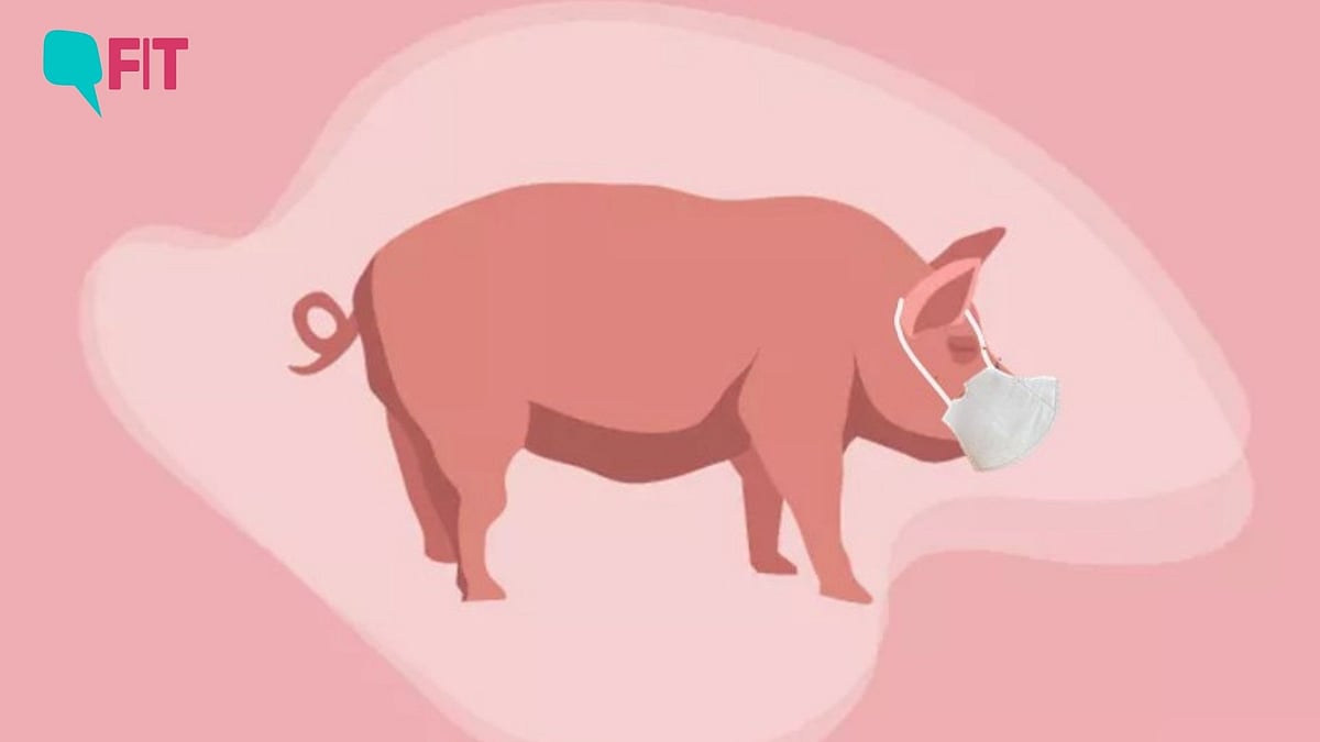 <div class="paragraphs"><p>Movement of pigs is strictly prohibited in and around Imphal West. All you need to know about African Swine Fever.</p></div>