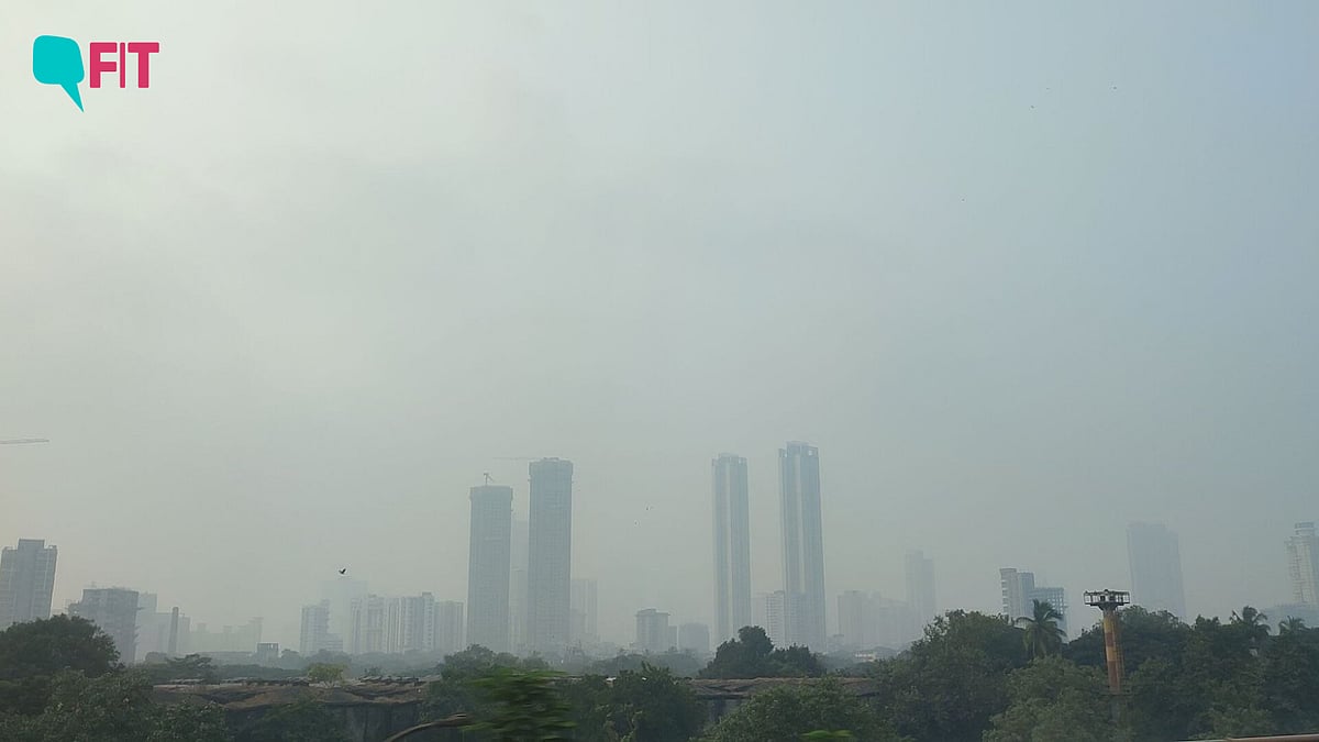 <div class="paragraphs"><p>Over the past 3-4 years, Mumbai's air quality has been deteriorating at an increasing pace.</p></div>