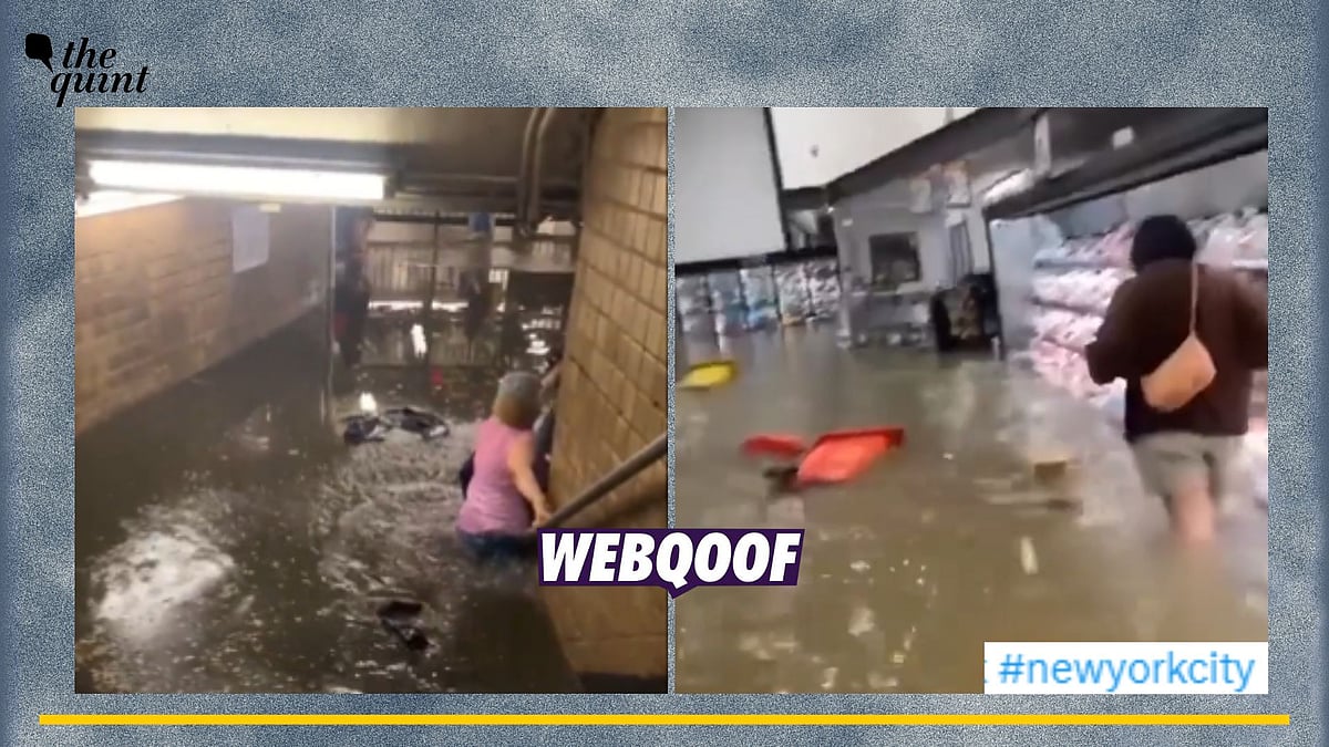 <div class="paragraphs"><p>Fact-Check | The videos are old and unrelated to the recent floods in New York.</p></div>