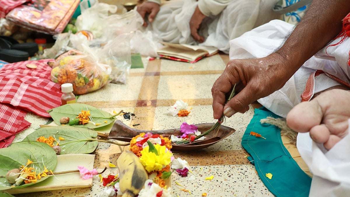 <div class="paragraphs"><p>Ekadashi Shradh 2023: Date, Timings, Muhurat, Tithi, Significance, and More.</p></div>