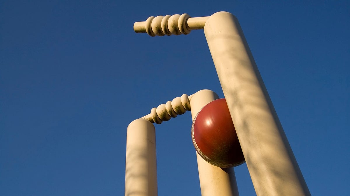 <div class="paragraphs"><p>Pakistan vs South Africa World Cup 2023 live streaming details</p></div>