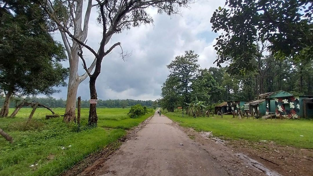 <div class="paragraphs"><p>Since mobile connectivity is extremely poor in Achanakmar Tiger Reserve, people have to rely completely on wireless services and local buses to travel to nearby towns and cities.</p></div>