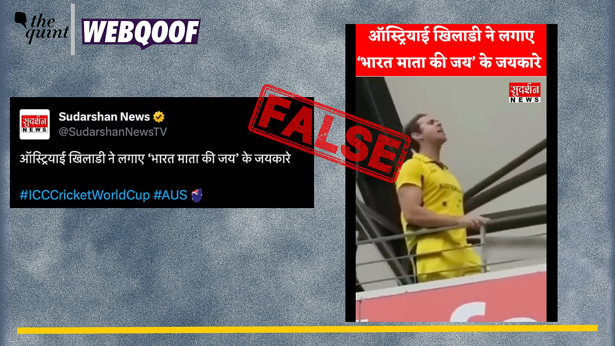 <div class="paragraphs"><p>Fact-Check: An old video showing an Australian fan raising pro-India slogans viral as recent.</p></div>