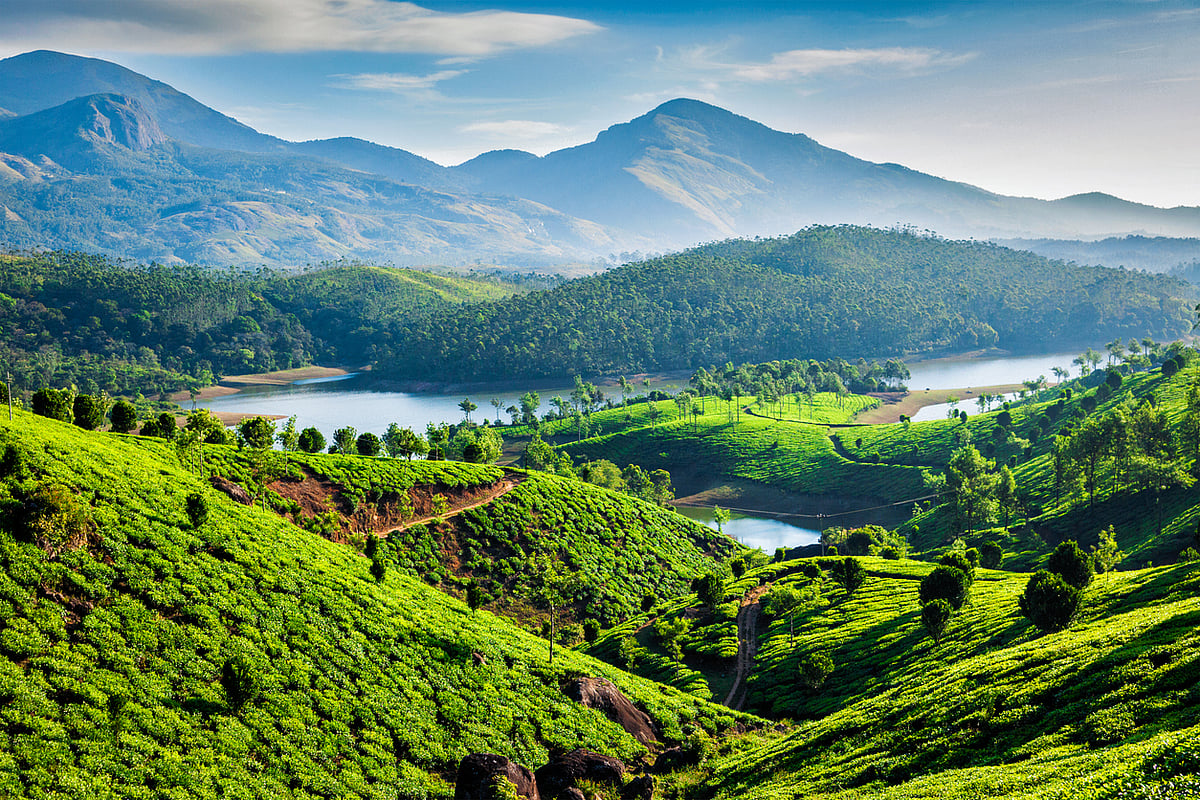 <div class="paragraphs"><p>7 best places in India to visit with friends and family for celebrations.</p></div>