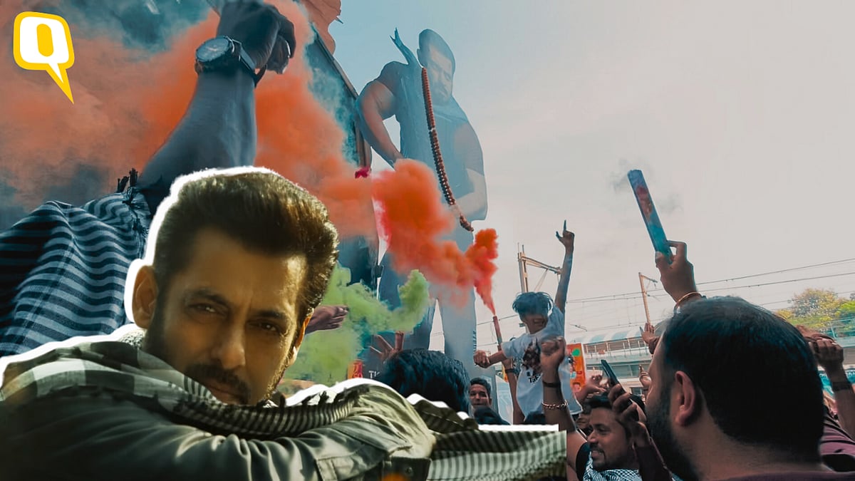 <div class="paragraphs"><p>Salman Khan-starrer<em>&nbsp;Tiger 3</em> hit theatres on 12 November.</p></div>