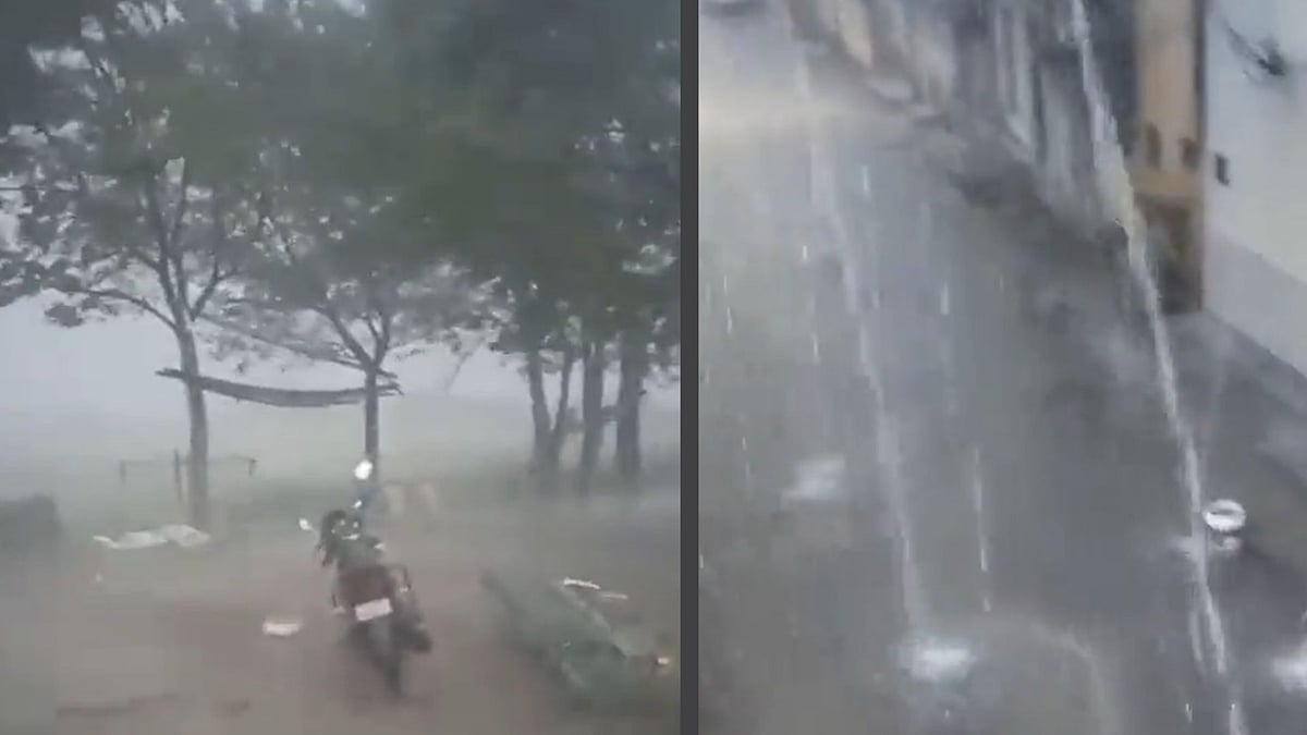 <div class="paragraphs"><p>At least 220 of 251 talukas of Gujarat received up to 50 mm of rainfall within just 10 hours on 26 November.</p></div>