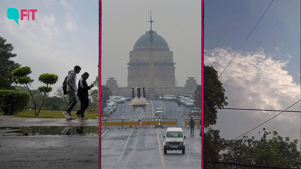 <div class="paragraphs"><p>Delhi's air quality improves as rain brings relief. </p></div>