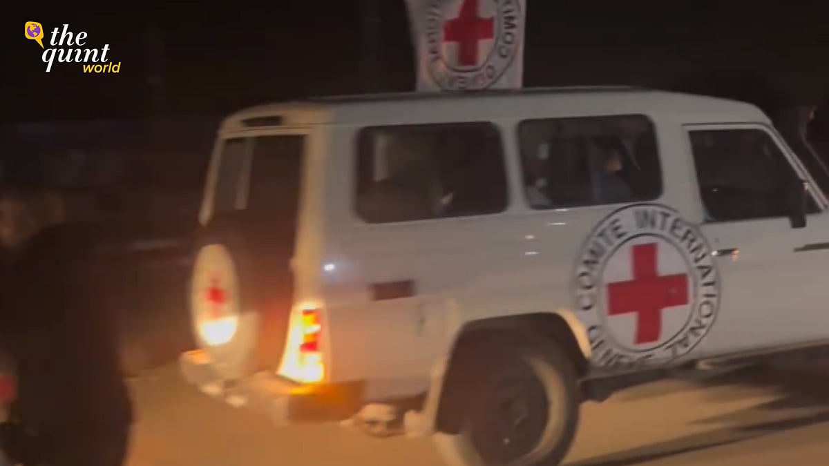 <div class="paragraphs"><p>The first group of 13 Israeli hostages, mainly comprised of women and children, were released and handed over to aid workers from the International Committee of the Red Cross.</p></div>