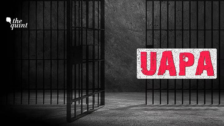 <div class="paragraphs"><p>Seven students were booked under UAPA for raising 'anti-India' slogans after India's loss against Australia in the ICC World Cup Finals.</p></div>