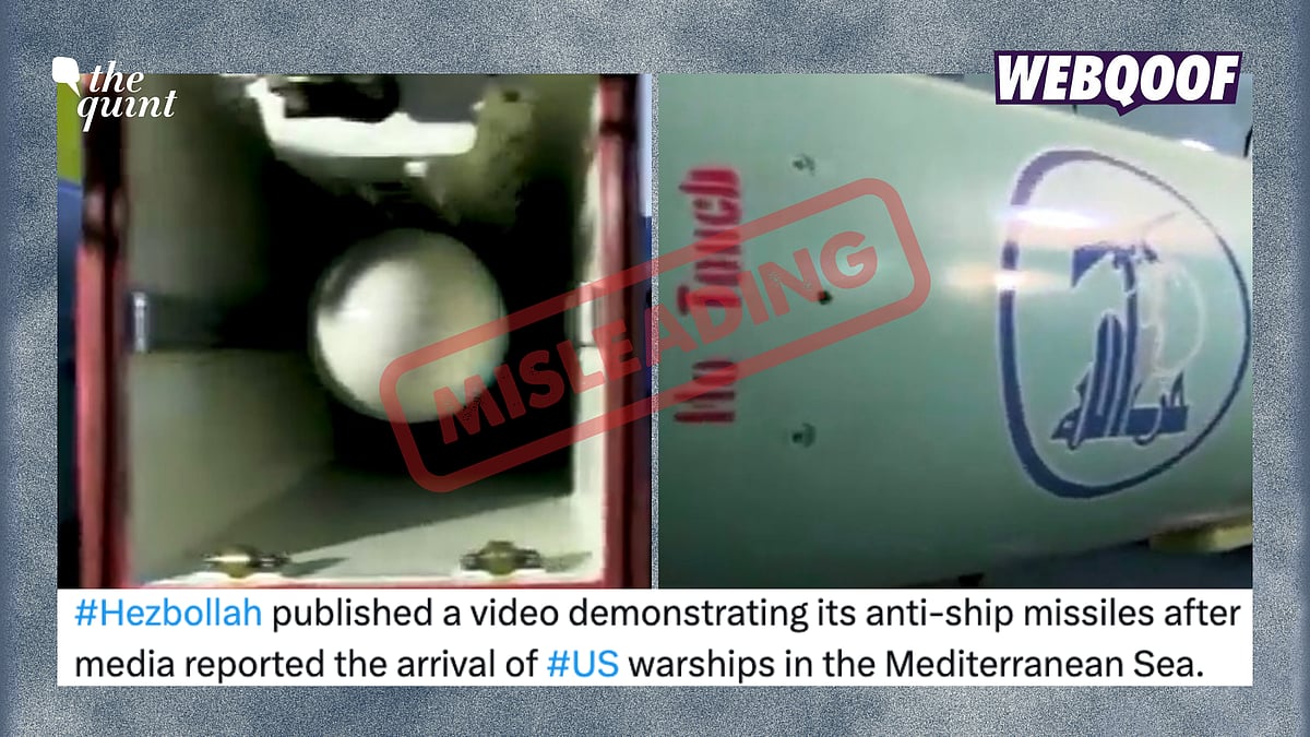 <div class="paragraphs"><p>The video predates the ongoing Israel-Hamas conflict and was first shared in 2019.</p></div>