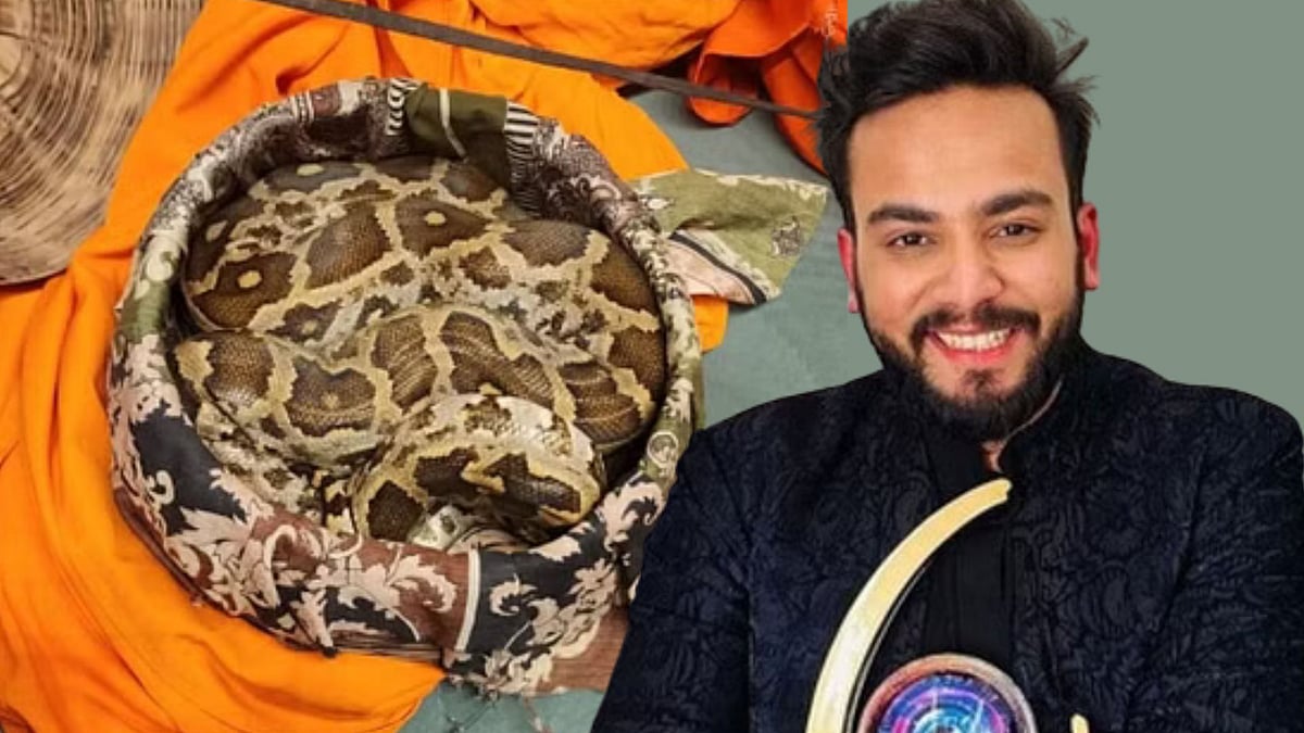 <div class="paragraphs"><p>How dangerous is snake venom as a recreational drug? Here's what science says about it.</p></div>