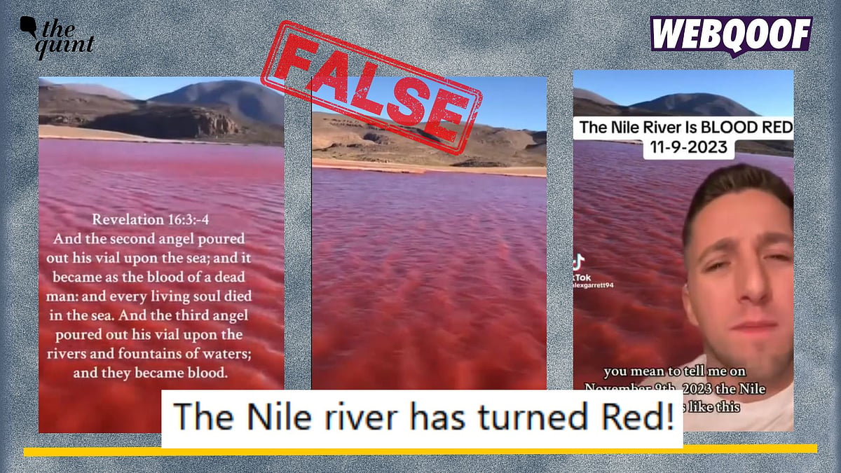 <div class="paragraphs"><p>Fact-check: The video does not show the Nile River turning red in colour. It shows Laguna Roja from Chile, which is naturally red.</p></div>