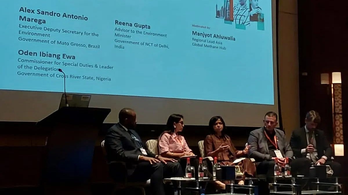 <div class="paragraphs"><p>Aam Aadmi Party senior leader Reena Gupta represented the Delhi government at COP28 in Dubai, alongside  100 mayors and global leaders.</p></div>