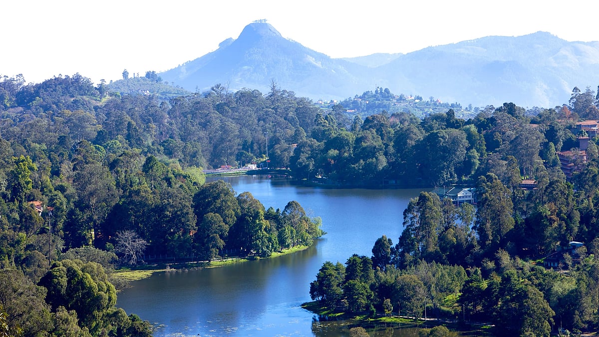 <div class="paragraphs"><p>Famous hill stations to travel with your friends and family this winter season.</p></div>