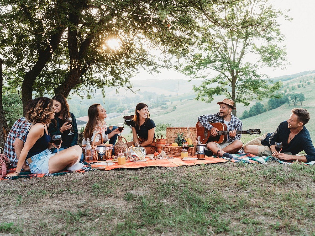 <div class="paragraphs"><p>Picnic spots in Delhi NCR</p></div>