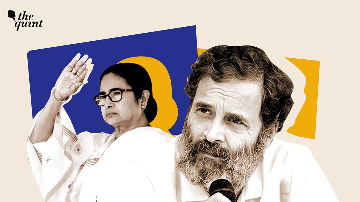 <div class="paragraphs"><p>Rahul Gandhi and Mamata Banerjee.</p></div>