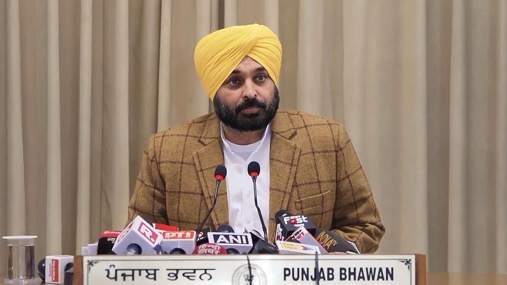 <div class="paragraphs"><p>Punjab Chief Minister Bhagwant Mann</p></div>