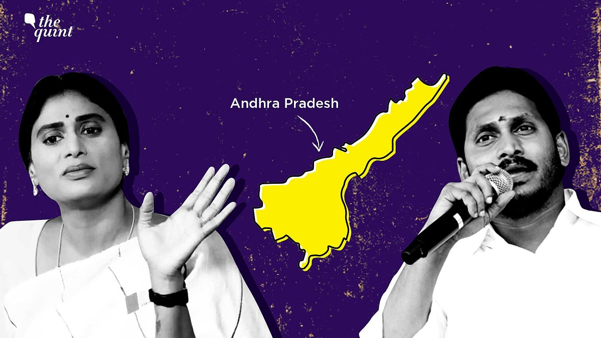 <div class="paragraphs"><p>YS Sharmila had parted ways with her brother Jagan Mogan Reddy well before she jumped into the Andhra Pradesh political cauldron. </p></div>