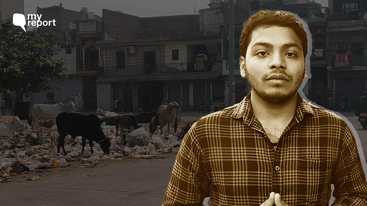 <div class="paragraphs"><p>Garbage is being dumped on the road near Gandhi Colony in Haryana's Faridabad.</p></div>