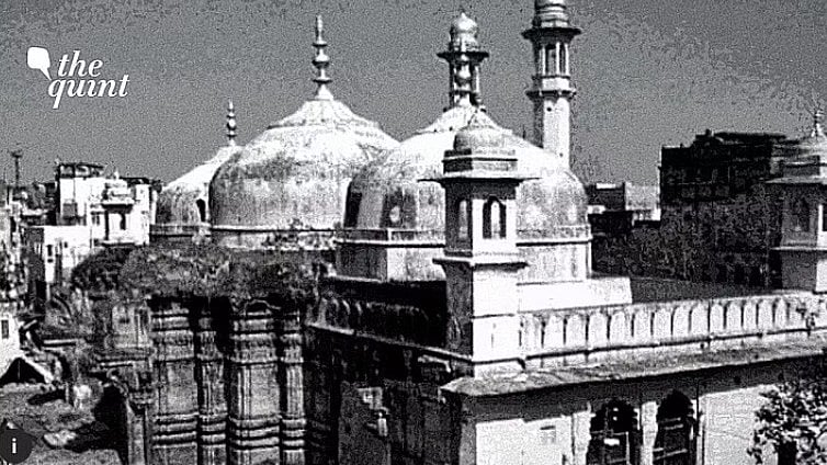 <div class="paragraphs"><p>The Varanasi district administration had on 24 January taken possession of the southern cellar of Gyanvapi mosque complex.</p></div>