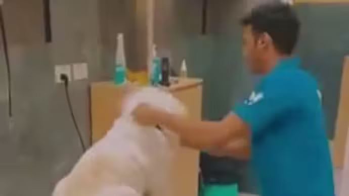 <div class="paragraphs"><p>A still from the viral clip.</p></div>