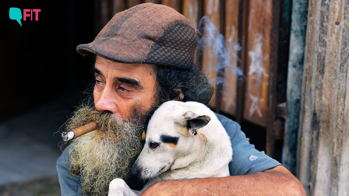 <div class="paragraphs"><p>How second hand smoke harms pets. (Image for representational purpose only.)</p></div>