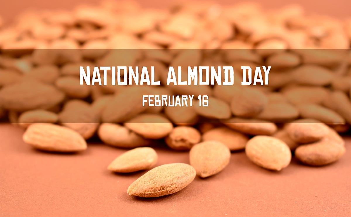 <div class="paragraphs"><p>National Almond Day 2024: Check date, history, significance, and health benefits of almonds.</p></div>