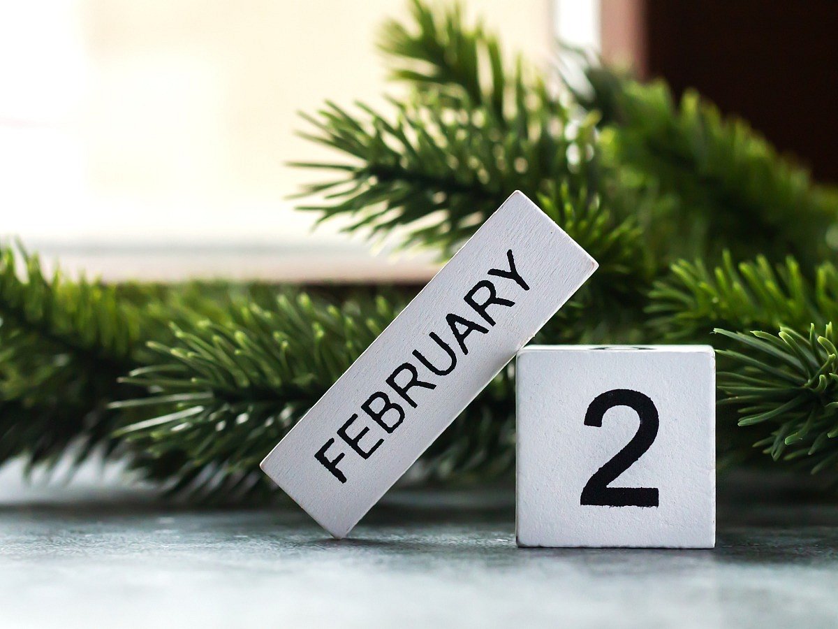 <div class="paragraphs"><p>Know everything about NSPCC Number Day 2024</p></div>