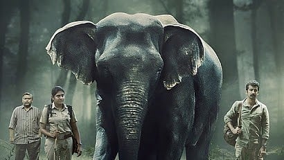 <div class="paragraphs"><p>The poster for Alia Bhatt's production<em> Poacher.</em></p></div>