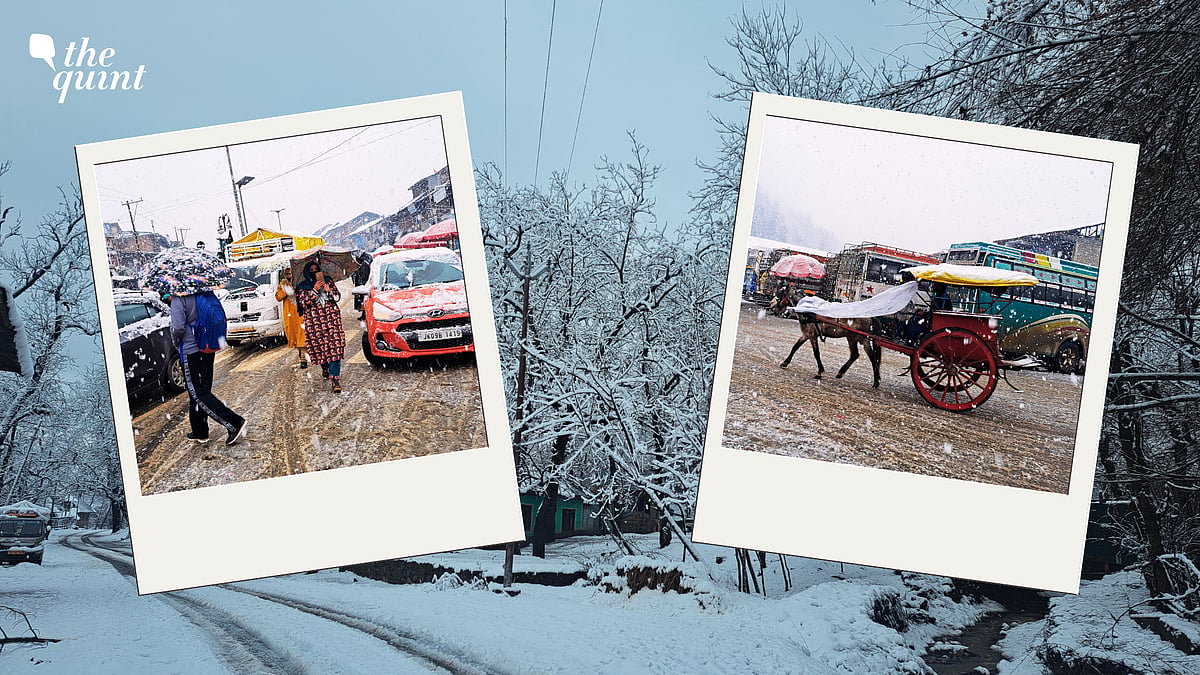 <div class="paragraphs"><p>Fresh Snow brought happiness to the faces of tourists and locals after the valley witnessed a two month long dry spell amid ‘Chillai Kalan’ - the harshest period winter.</p></div>