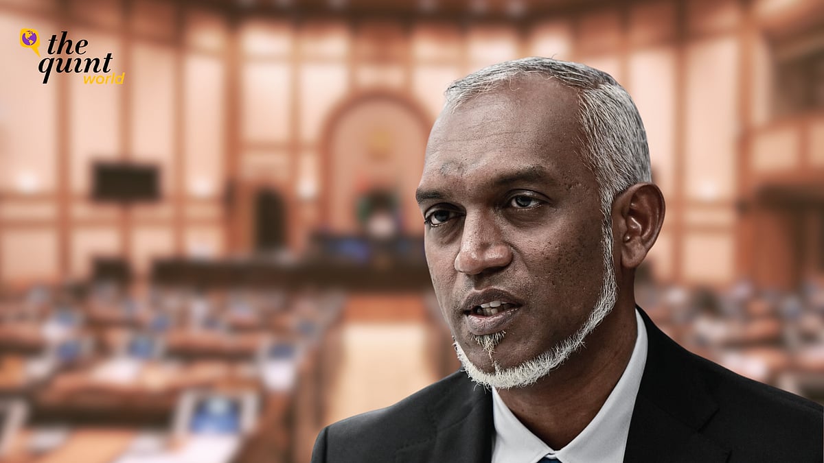 <div class="paragraphs"><p>Muizzu's overt anti-India posturing is not a product of geopolitics or domestic politics alone.</p></div>