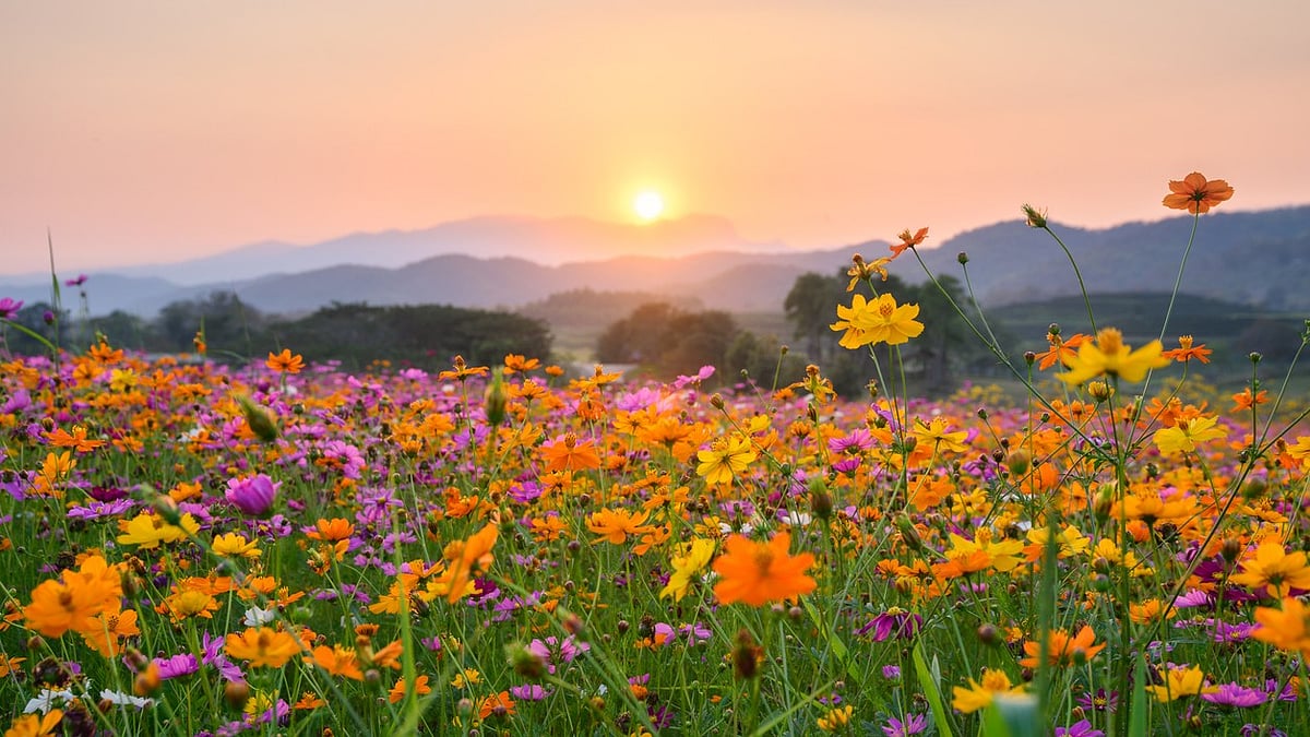 <div class="paragraphs"><p>Top places to visit during the Spring season are stated here for travellers.</p></div>