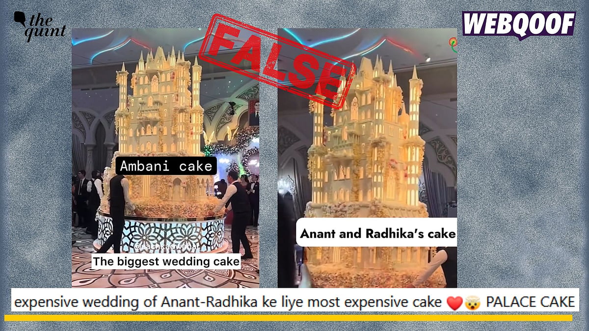 <div class="paragraphs"><p>Fact-check: An old and unrelated video of a massive cake is being falsely linked to pre-wedding event of the Ambani family.</p></div>
