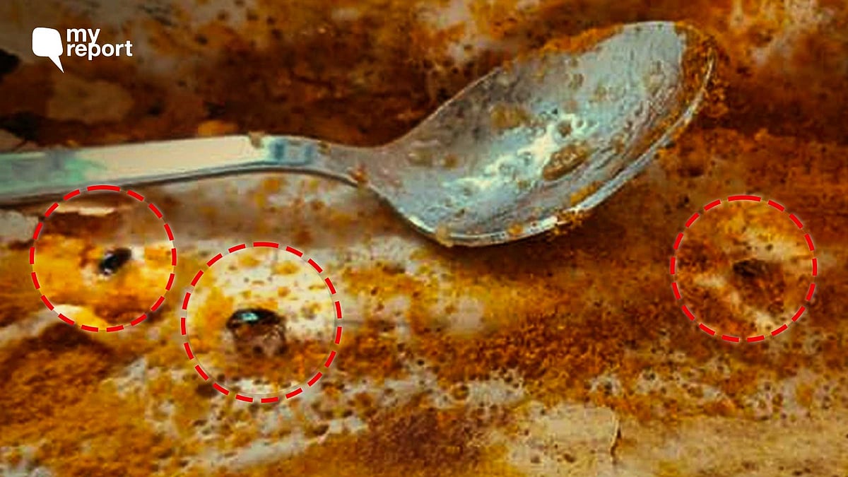 <div class="paragraphs"><p>Dead cockroaches were found in a meal ordered by a customer at Madras Coffee House in Delhi's Connaught Place</p></div>