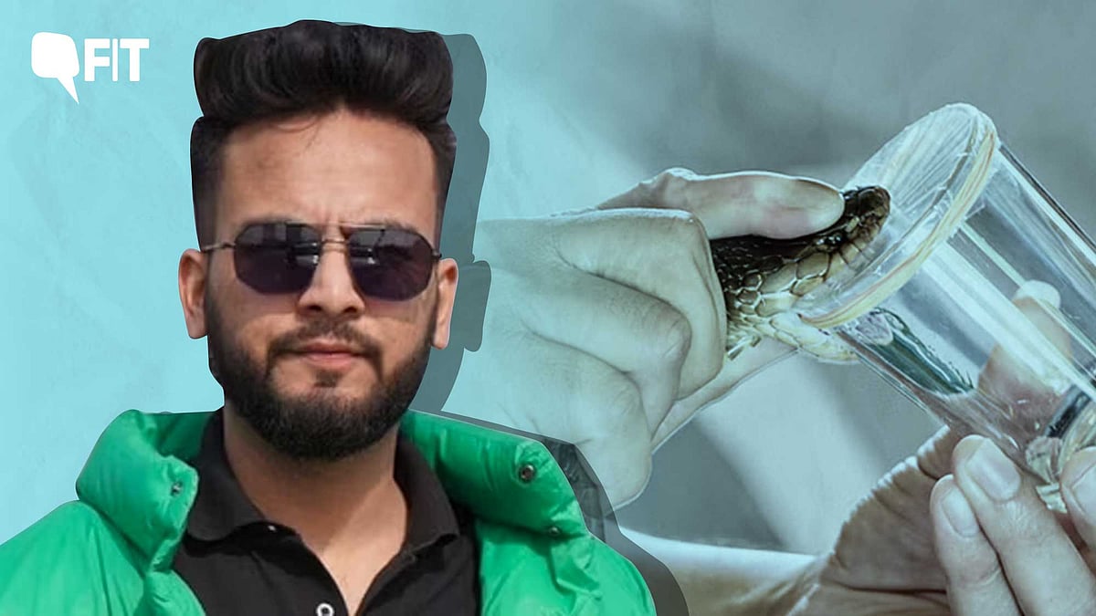 <div class="paragraphs"><p>58,000+ Indians die from snakebite every year, and many more likely suffer life-altering injuries post-envenomation.</p></div>