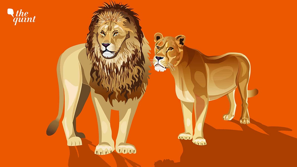 <div class="paragraphs"><p>The VHP filed a writ petition in the Calcutta High Court claiming blasphemy, assault on religion, and generally hurt sentiments, because a lioness named after a Hindu female deity was housed with a lion named after a Muslim emperor; people laughed at them, partly from amusement, mostly from contempt, and got on with life.</p></div>