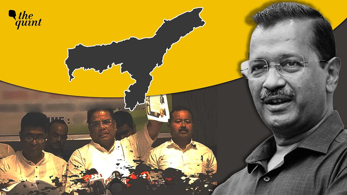 <div class="paragraphs"><p>In the Northeastern state, AAP doesn't have a presence in all the regions. Its presence is limited to some pockets of urban areas but despite this, the party believes that it can give a good fight against the BJP. </p></div>
