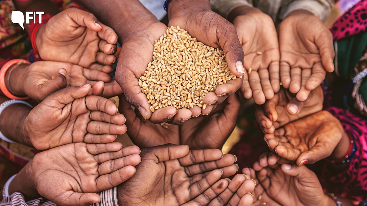 <div class="paragraphs"><p>The study found that India has the highest number of 'zero food' children. Is it misleading?</p></div>