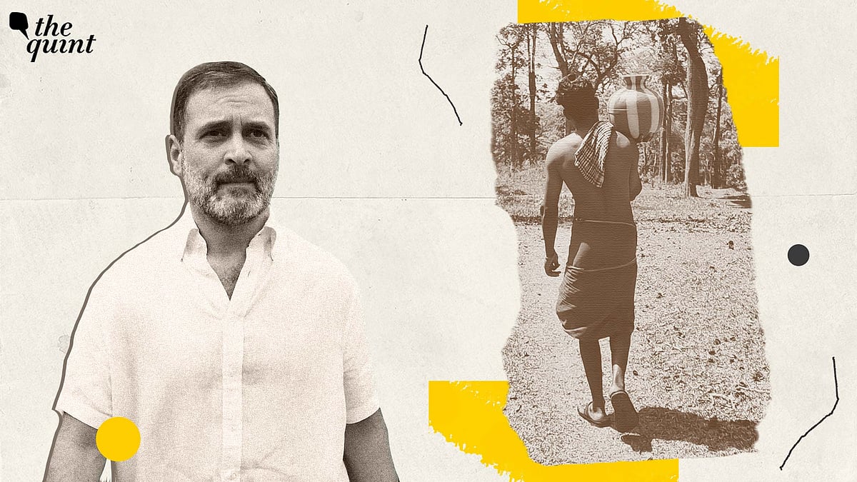 <div class="paragraphs"><p>As sitting MP Rahul Gandhi seeks re-election from the constituency, where he is facing the Left's Annie Raja and the BJP's K Surendran, <strong>The Quint</strong> spoke to tribals and went through Right to Information (RTI) responses to understand whether their lives have improved over the last five years.</p></div>
