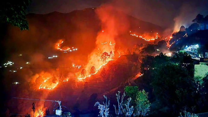 <div class="paragraphs"><p>According to authorities, the forest fires spreading across Uttarakhand are mainly 'man-made'</p></div>