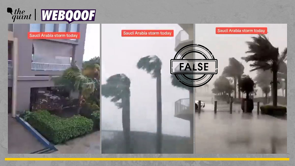 <div class="paragraphs"><p>Fact-Check | Some of these videos are old and unrelated to the recent downpour in Saudi Arabia.</p></div>