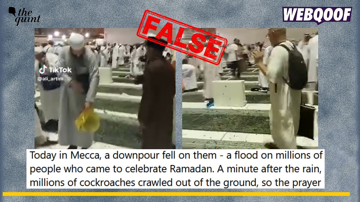 <div class="paragraphs"><p>Fact-Check: An old video from Mecca showing several insects emerging inside a mosque is going viral on social media as recent.</p></div>